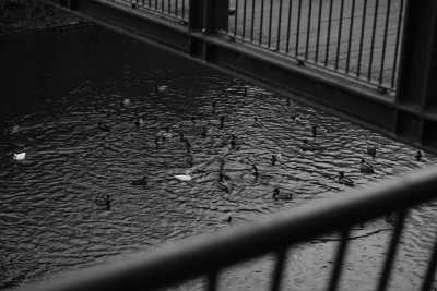 Street-01-2020