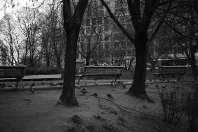 Street-02-2020