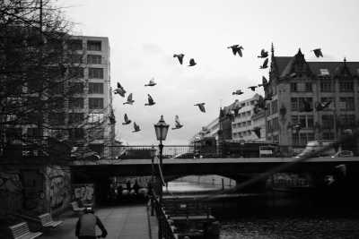 Street-02-2020