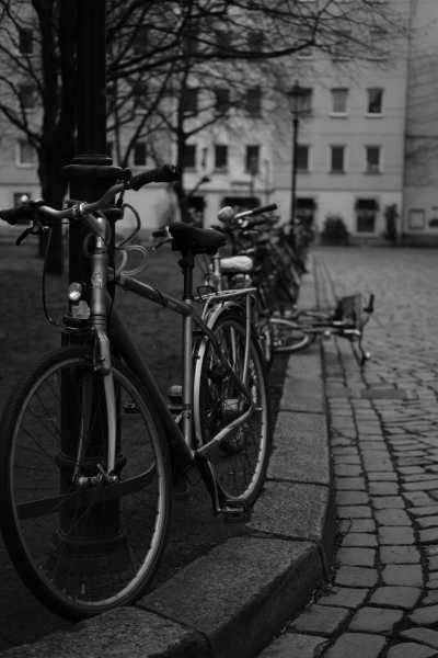 Street-02-2020