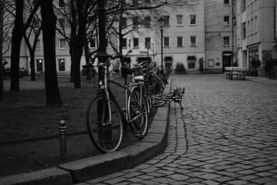 Street-02-2020