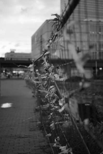 Street-02-2020