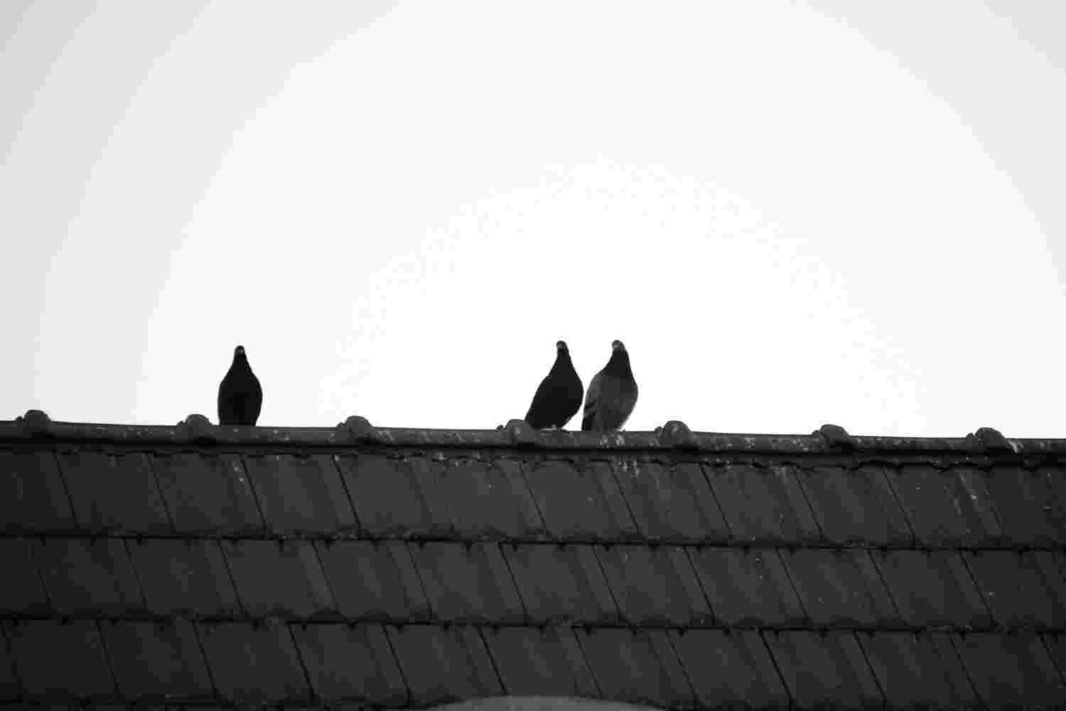 
        
            
             - 1/125
             - 200mm
             - F/24/5
        
        