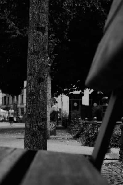 Street-06-2020