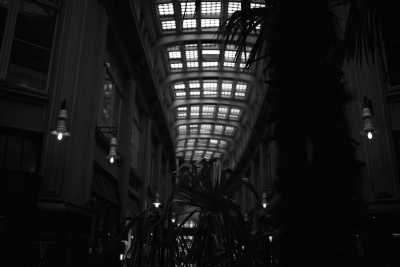 Street-06-2020