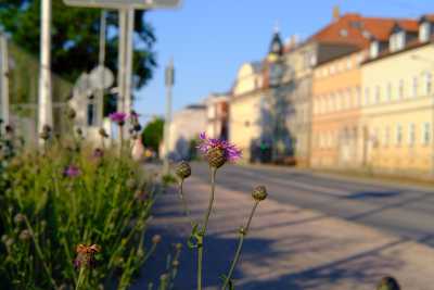 Street-06-2020
