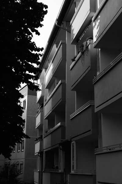 Street-06-2020