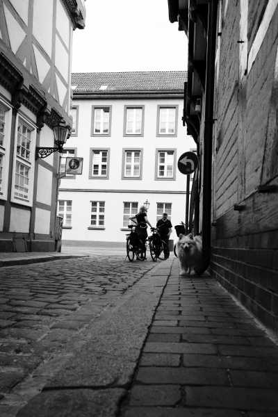 Street-08-2020