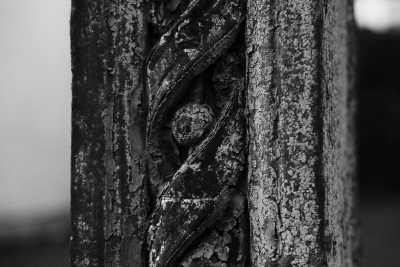Street-11-2020
