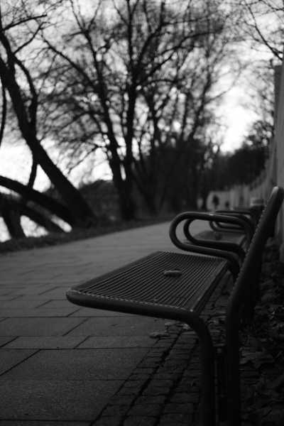 ISO 200 - 1/125 - 35mm - F/2 Street-12-2019