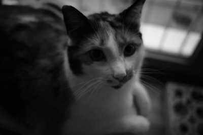 ISO 800 - 1/250 - 23mm - F/2 Street-12-2019